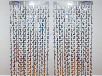 Iridescent Penis Holographic Foil Curtain | Hen Party Bridal Shower Backdrop, Birthday Backdrop, Photo Booth, Dick Favors, Naughty Bach